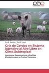 Cría de Cerdos en Sistema Intensivo al Aire Libre en Clima Subtropical