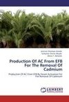 Production Of AC From EFB For The Removal Of Cadmium
