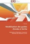 Modélisation des guides d'ondes à ferrite