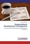 Organizational Development in Perspective