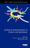 Polit Political Participation in France and Germany