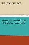 Left on the Labrador A Tale of Adventure Down North