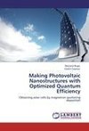 Making Photovoltaic Nanostructures with Optimized Quantum Efficiency
