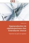Hyperproduction de céphalosporinase chez Enterobacter cloacae