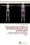 Biomechanical models of the human thoracic and lumbar spine