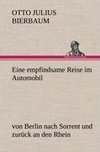 Eine empfindsame Reise im Automobil