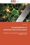 Synaptogénèse et plasticité neuromusculaire