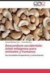 Anacardium occidentale: árbol milagroso para animales y humanos
