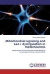 Mitochondrial signaling and Ca2+ dysregulation in motorneurons