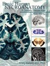 Basic Human Neuroanatomy