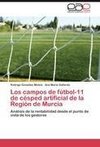 Los campos de fútbol-11 de césped artificial de la Región de Murcia