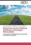 Panorama de las Políticas Públicas en Energías Renovables