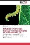 Estudio de morfología, biología y comportamiento de Acordulecera spp.