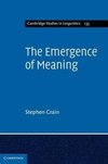 The Emergence of Meaning
