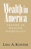 Wealth in America