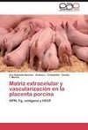 Matríz extracelular y vascularización en la placenta porcina