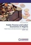 Public Finance and Labor Economics in Nigeria