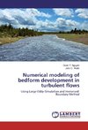 Numerical modeling of bedform development in turbulent flows