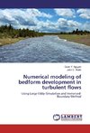 Numerical modeling of bedform development in turbulent flows
