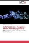 Valorización de fangos de EDAR mediante pirólisis