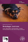 Bouledogue Américain