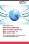 Eficiencia Técnica, Apertura Económica y Convergencia en Iberoamérica