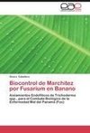 Biocontrol de Marchitez por Fusarium en Banano