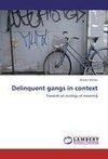 Delinquent gangs in context