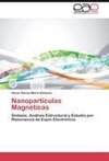 Nanopartículas Magnéticas