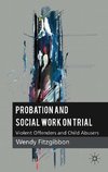 Probation and Social Work on Trial