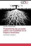 Tratamiento de un suelo salino con Ca(OH)2 en el trópico mexicano