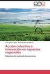 Acción colectiva e innovación en espacios regionales