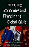Emerging Economies and Firms in the Global Crisis