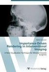 Importance-Driven Rendering in Interventional Imaging