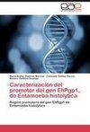 Caracterización del promotor del gen EhPgp1, de Entamoeba histolytica