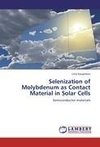 Selenization of Molybdenum as Contact Material in Solar Cells