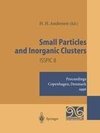 Small Particles and Inorganic Clusters