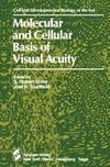 Molecular and Cellular Basis of Visual Acuity
