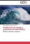 Predicción de oleaje y prácticas de laboratorio