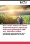 Biorremediación de suelos contaminados con Cr(VI) por actinobacterias