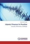 Islamic Finance in Practice