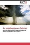 La imaginación en Spinoza
