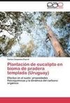 Plantación de eucalipto en bioma de pradera templada (Uruguay)