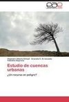 Estudio de cuencas urbanas