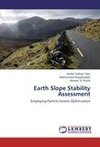Earth Slope Stability Assessment