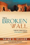 Find a Broken Wall