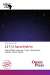 23113 Aaronhakim