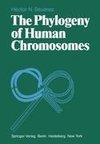 The Phylogeny of Human Chromosomes