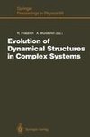 Evolution of Dynamical Structures in Complex Systems
