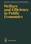 Welfare and Efficiency in Public Economics